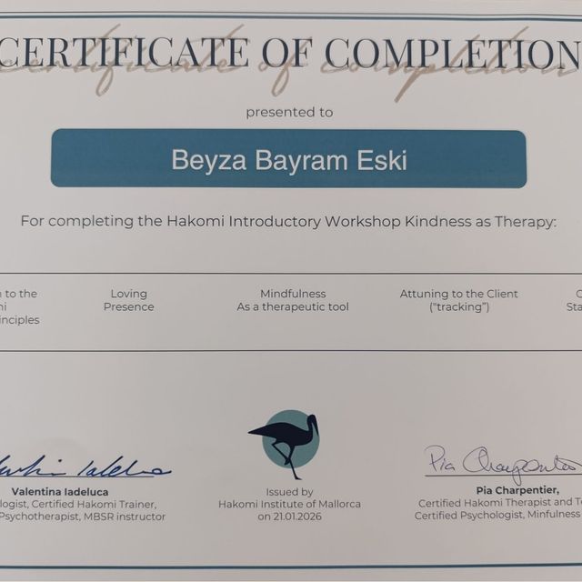 Resmi büyüt: certificate 11