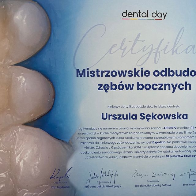 Powiększ obraz: certificate 1