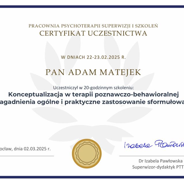 Powiększ obraz: certificate 4