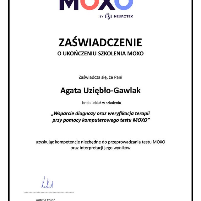 Powiększ obraz: certificate 1