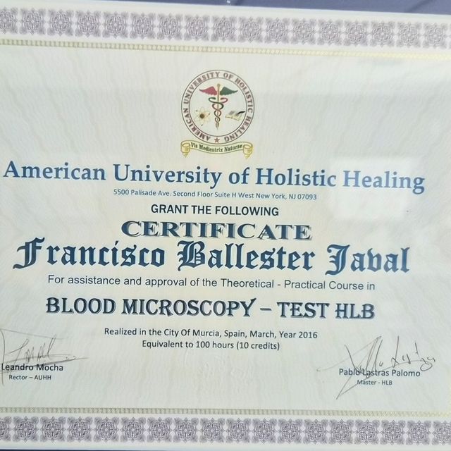 Acercar imagen: certificate 11