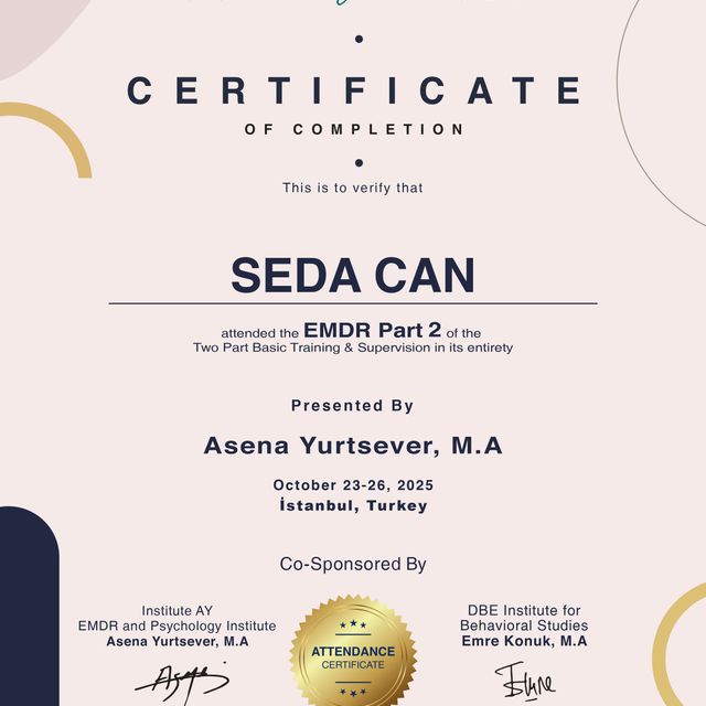 Resmi büyüt: certificate 1
