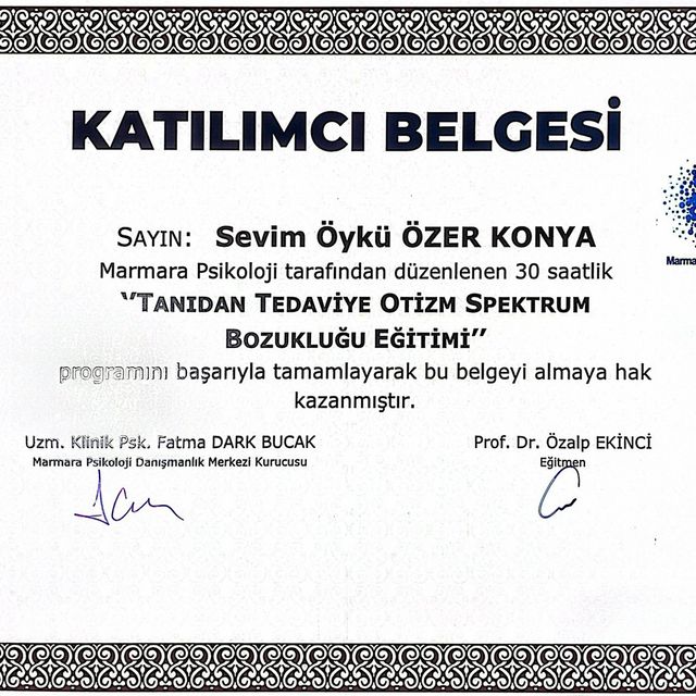 Resmi büyüt: certificate 9
