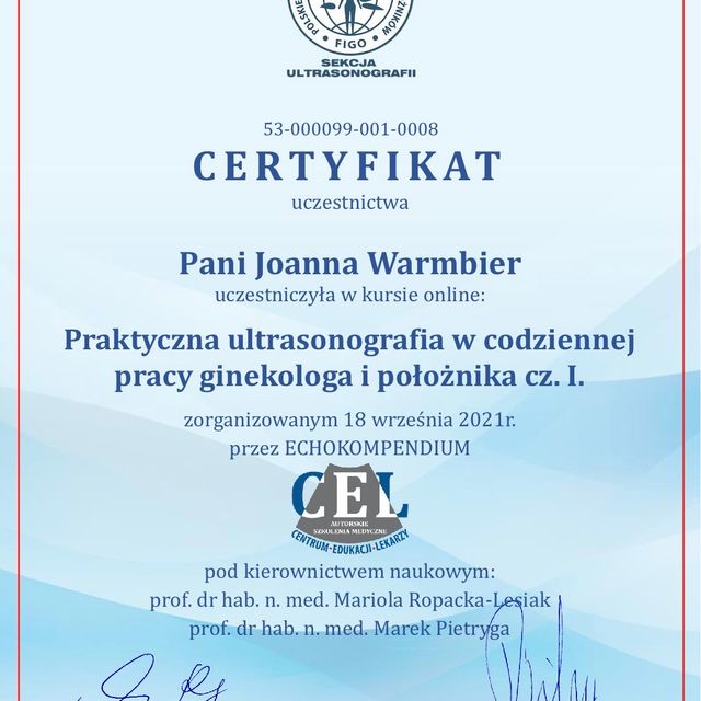 Powiększ obraz: certificate 8