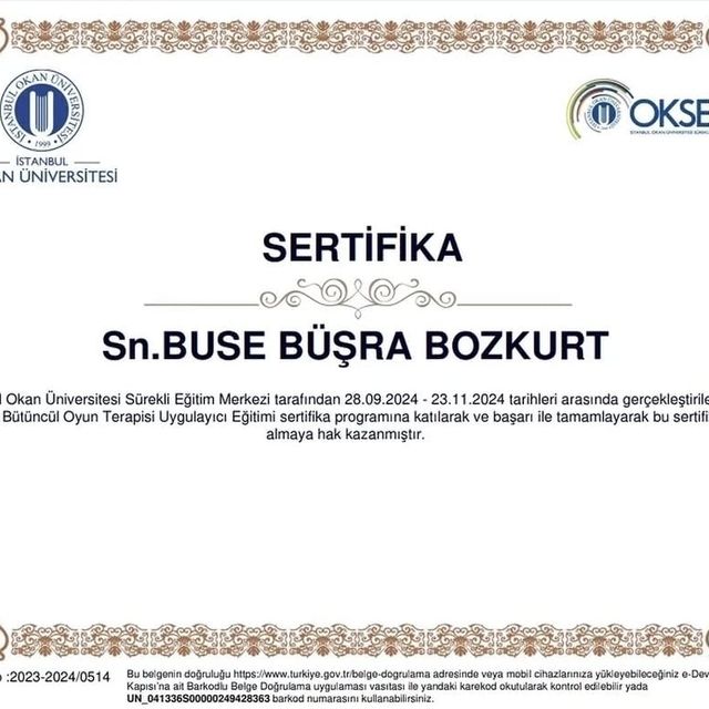 Resmi büyüt: certificate 9