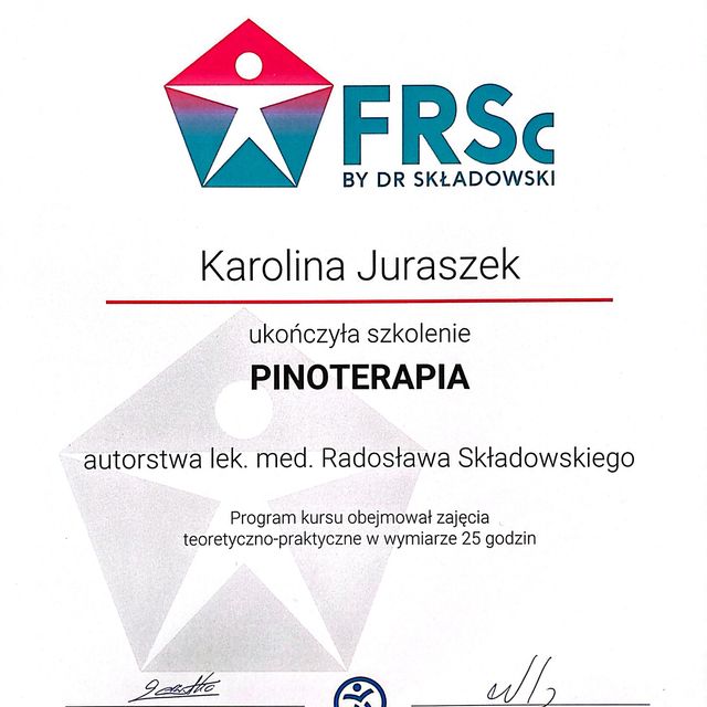 Powiększ obraz: certificate 2