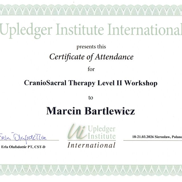 Powiększ obraz: certificate 2