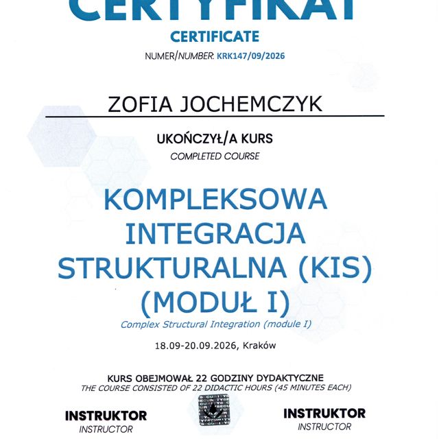 Powiększ obraz: certificate 1
