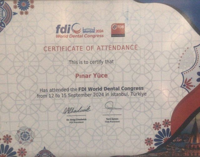 Resmi büyüt: certificate 2