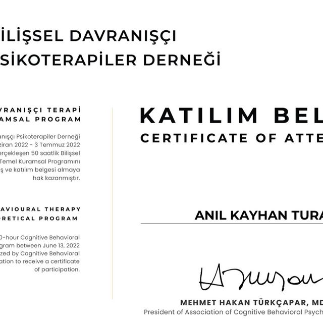 Resmi büyüt: certificate 5