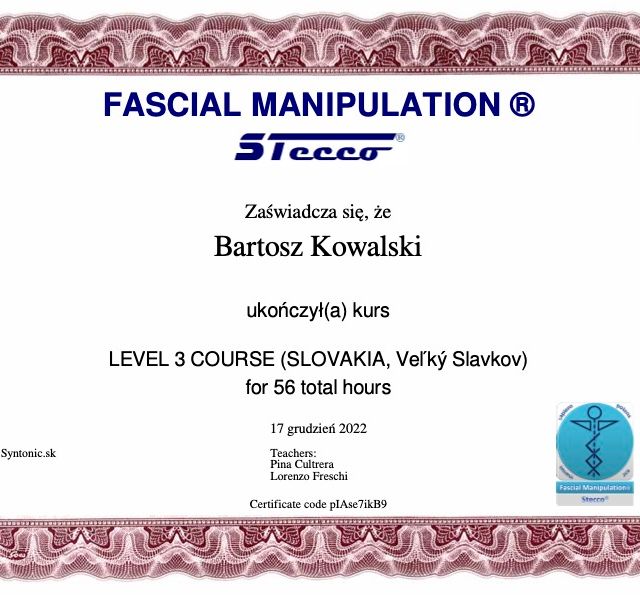 Powiększ obraz: certificate 9