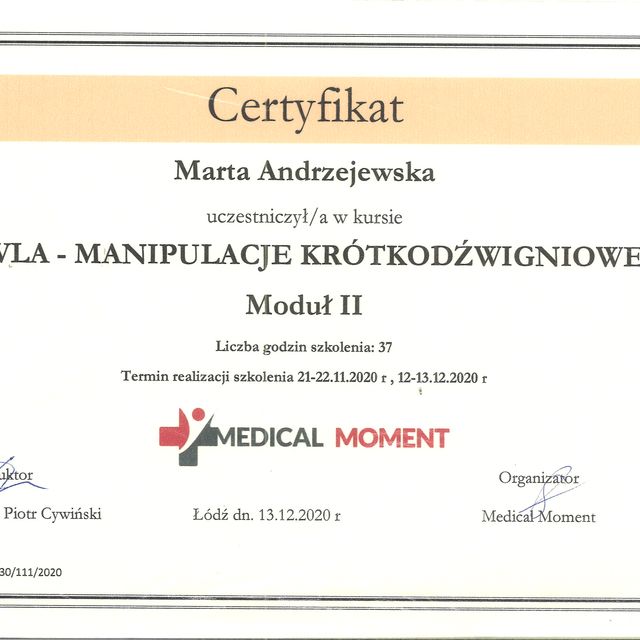 Powiększ obraz: certificate 9
