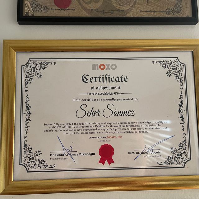 Resmi büyüt: certificate 2