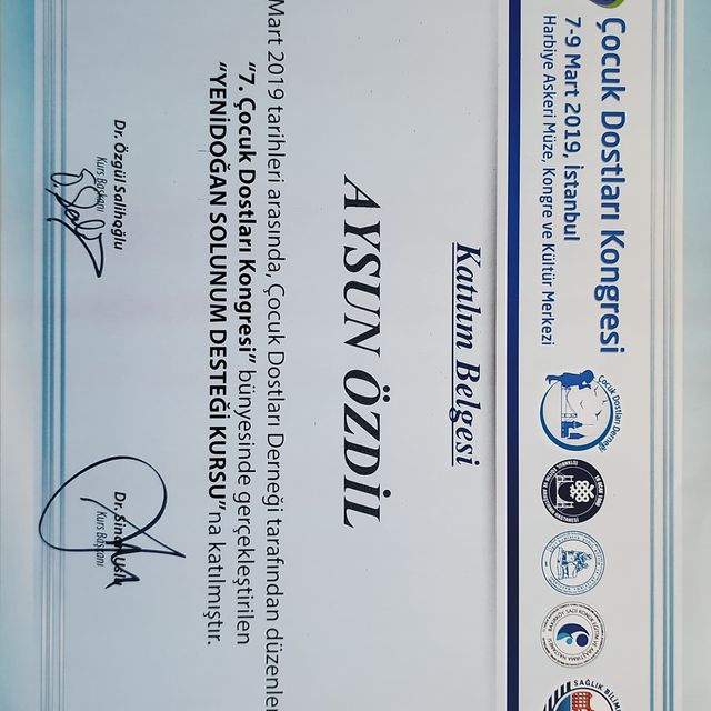 Resmi büyüt: certificate 1