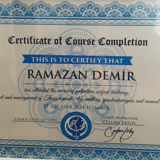 Resmi büyüt: certificate 8