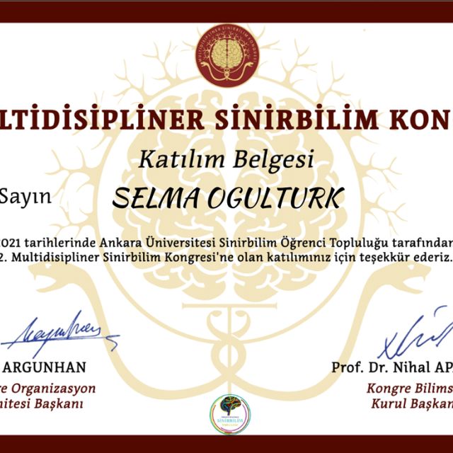 Resmi büyüt: certificate 1