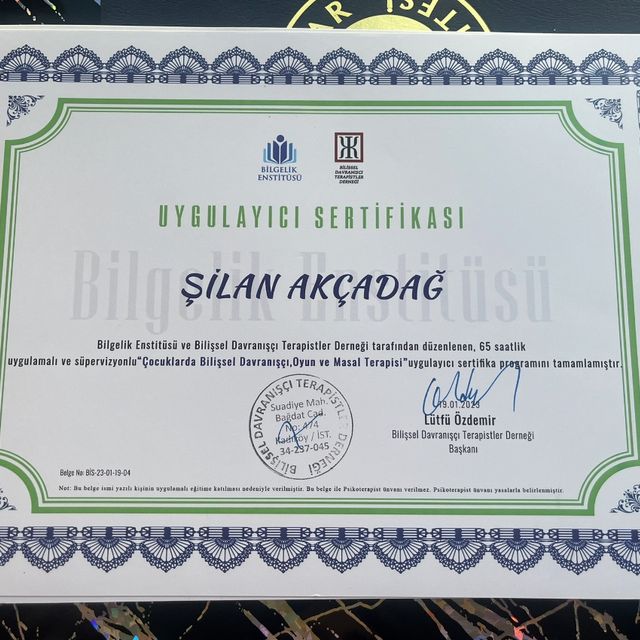 Resmi büyüt: certificate 6