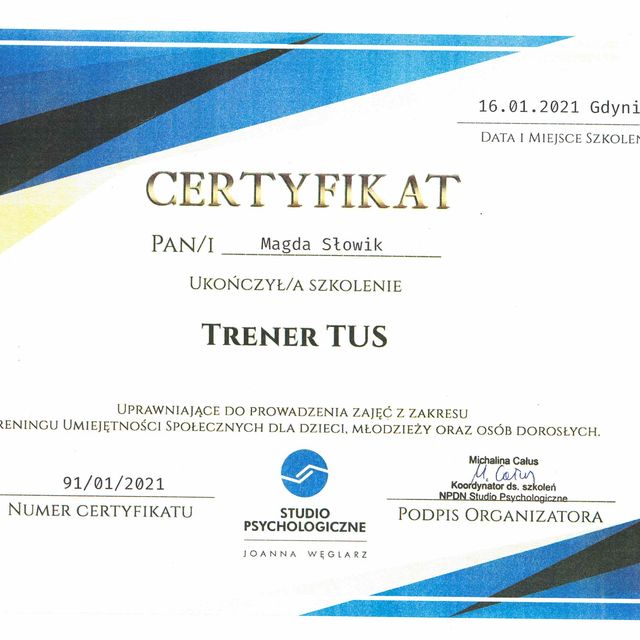 Powiększ obraz: certificate 2