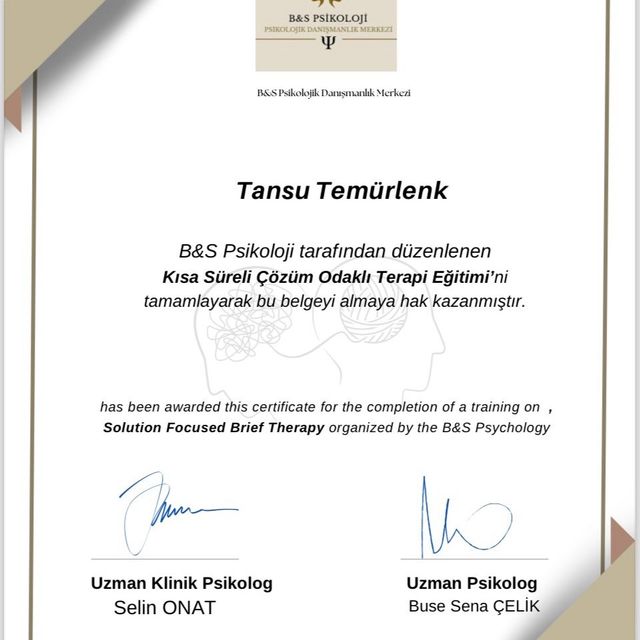 Resmi büyüt: certificate 2