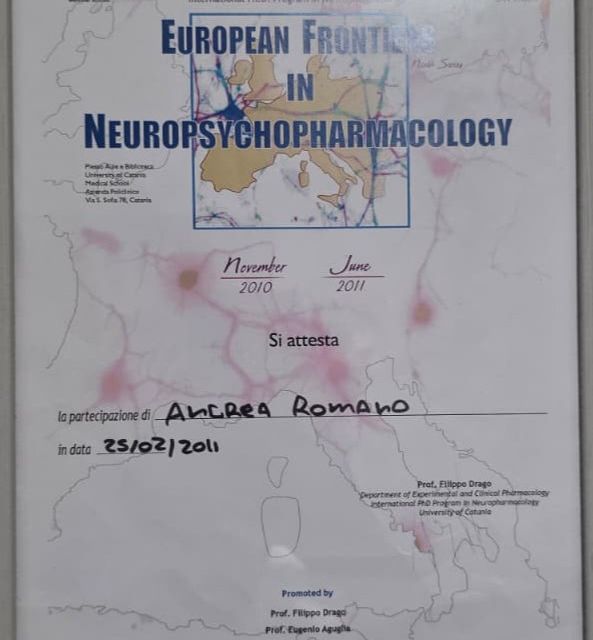 Ingrandire l'immagine: certificate 12