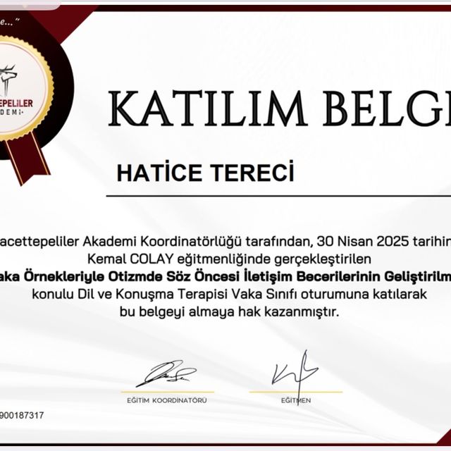 Resmi büyüt: certificate 6