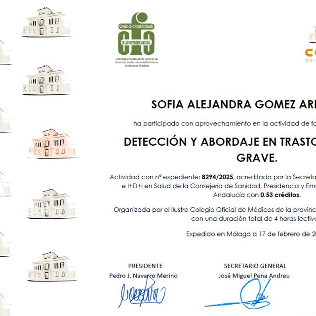 Acercar imagen: certificate 11