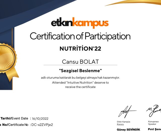 Resmi büyüt: certificate 7