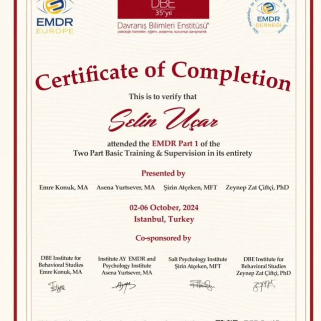 Resmi büyüt: certificate 1