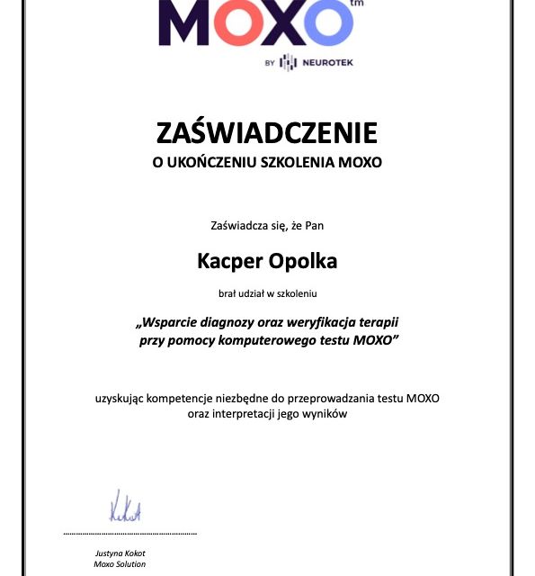 Powiększ obraz: certificate 1