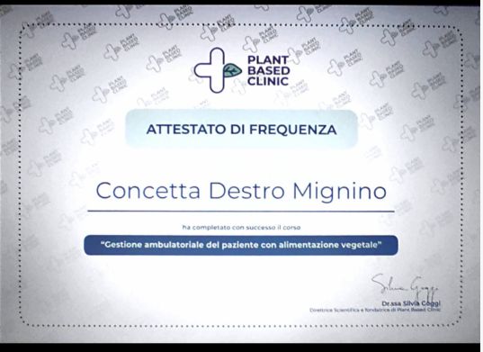 Ingrandire l'immagine: certificate 1