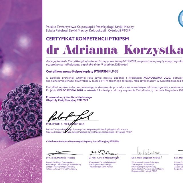 Powiększ obraz: certificate 1