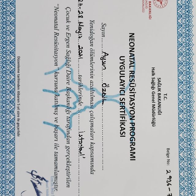 Resmi büyüt: certificate 7