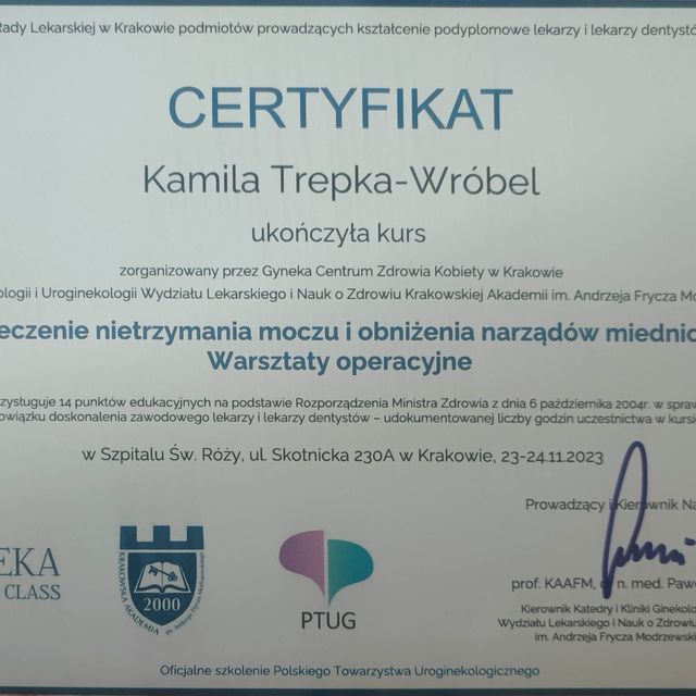 Powiększ obraz: certificate 2