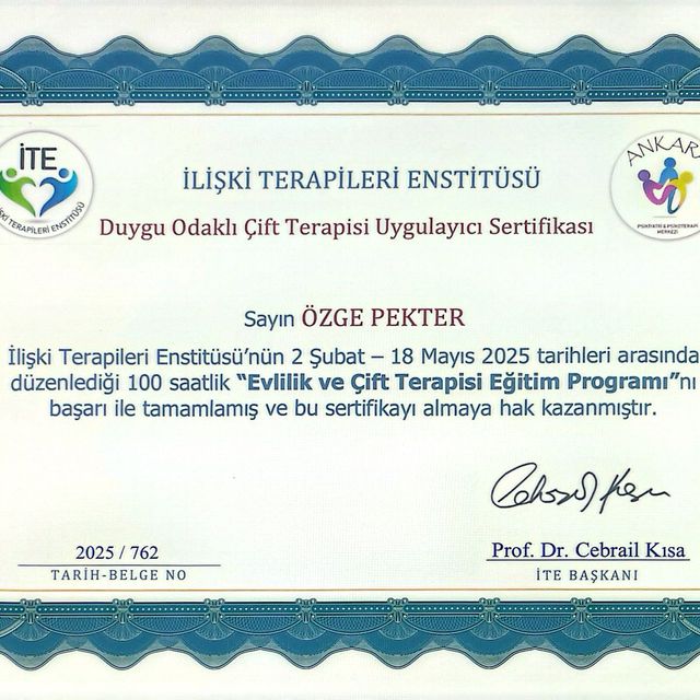 Resmi büyüt: certificate 10