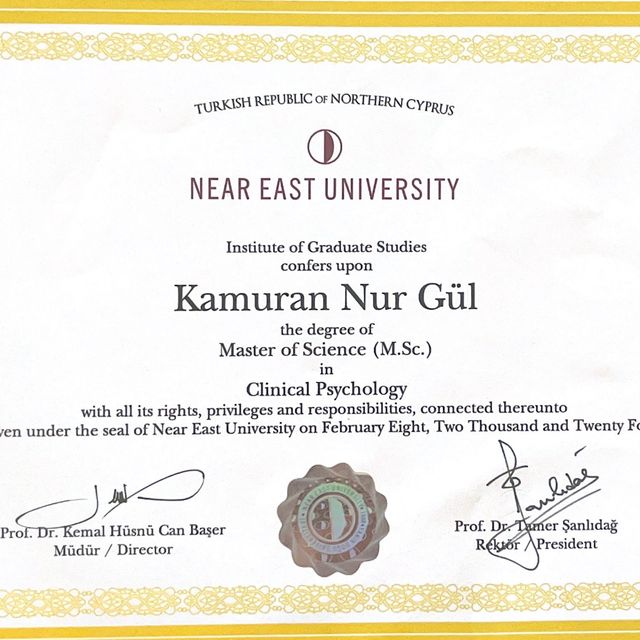 Resmi büyüt: certificate 2