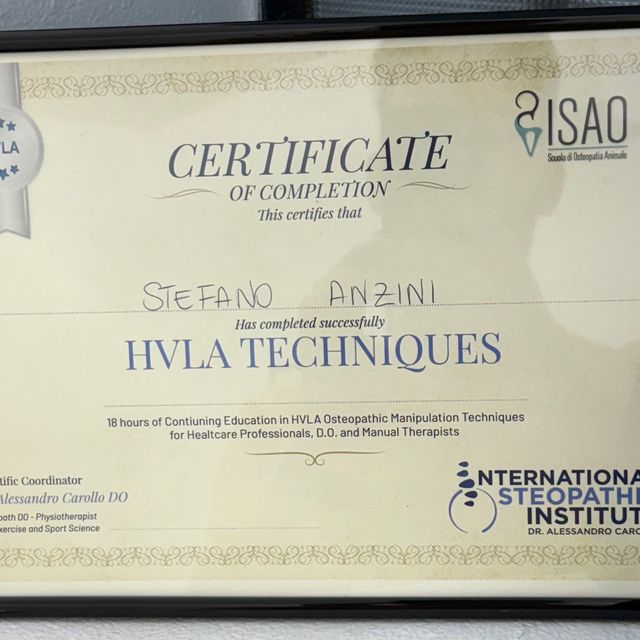 Ingrandire l'immagine: certificate 7