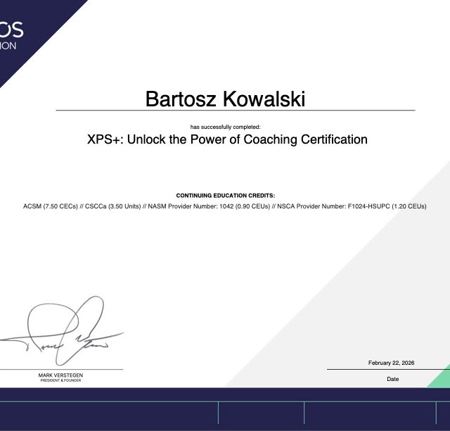 Powiększ obraz: certificate 41