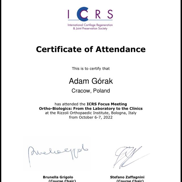 Powiększ obraz: certificate 3