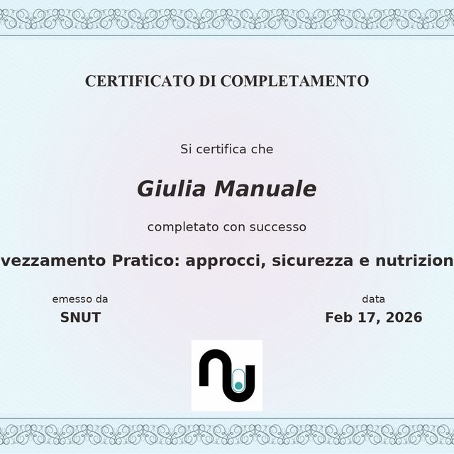 Ingrandire l'immagine: certificate 1