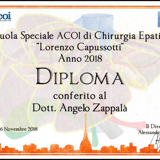 Ingrandire l'immagine: certificate 1