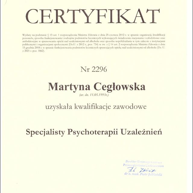 Powiększ obraz: certificate 2
