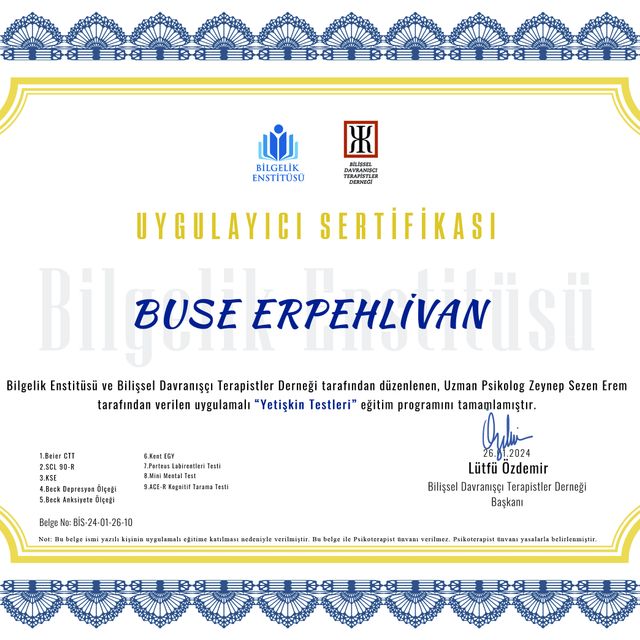 Resmi büyüt: certificate 7