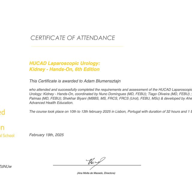 Powiększ obraz: certificate 7