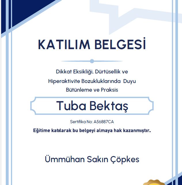 Resmi büyüt: certificate 16