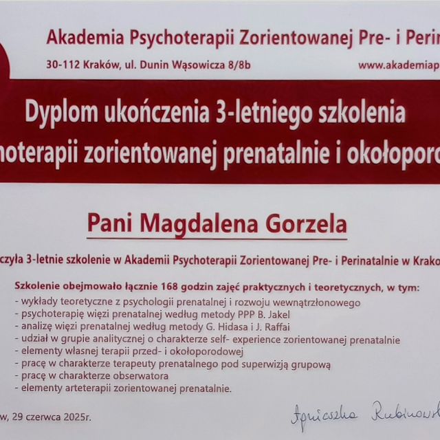 Powiększ obraz: certificate 2