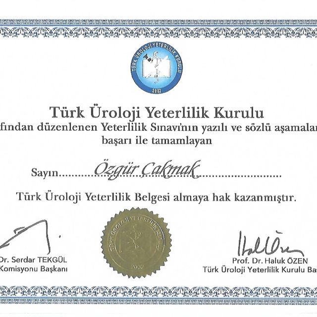 Resmi büyüt: certificate 2