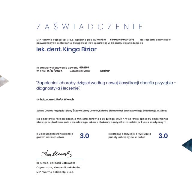 Powiększ obraz: certificate 1