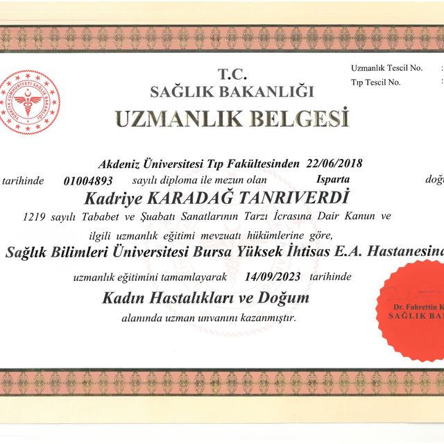 Resmi büyüt: certificate 24