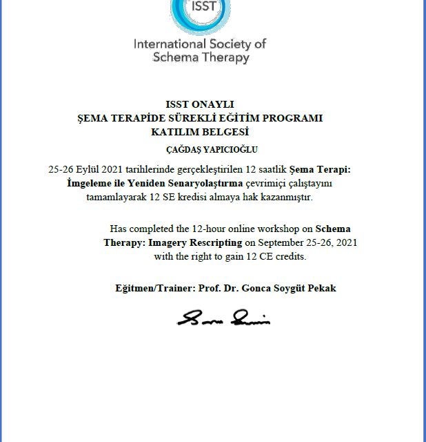 Resmi büyüt: certificate 8