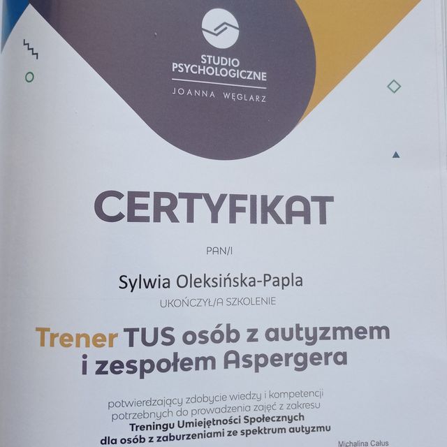 Powiększ obraz: certificate 5